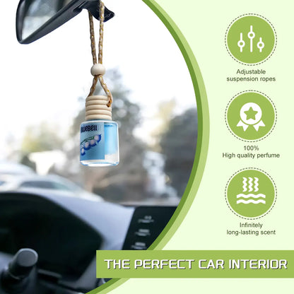 2Pack Car Air Fresheners Hanging Scent Oil Diffuser,8Ml Nature Frangrance Friut Juciy Perfume Last Long Time with Three Scents for Car & Live Gifts